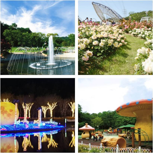 울산대공원 호수 장미원 빛축제