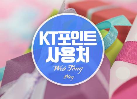 KT 포인트 사용처