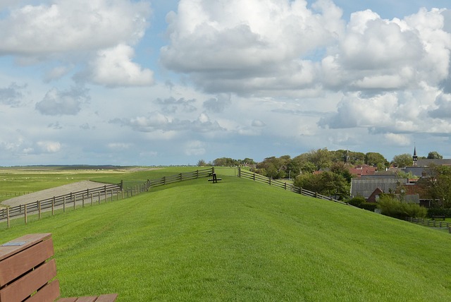 토지 매매 방법