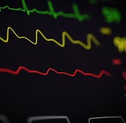 갑상선 기능 항진증 증상 원인 예방 가이드