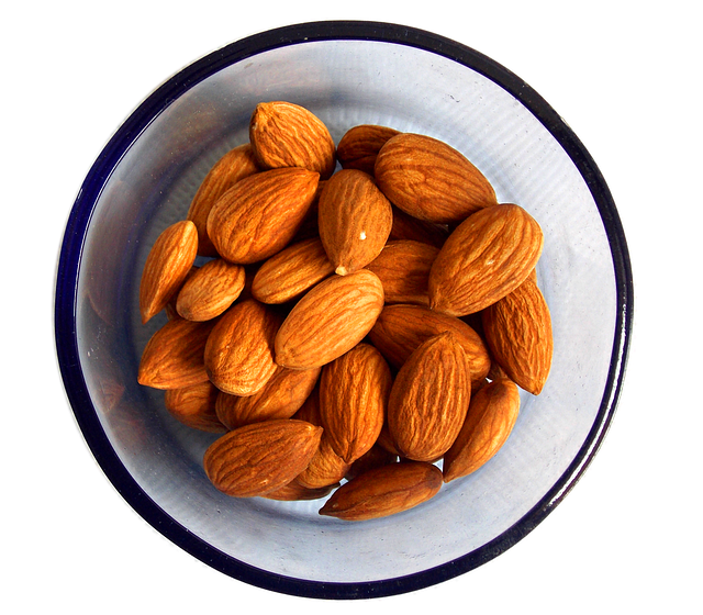 뇌 건강 영양제