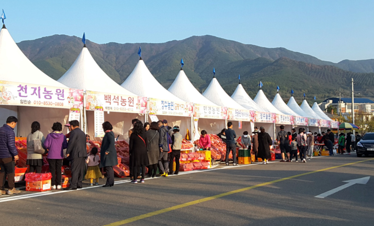 밀양-얼음골-사과축제