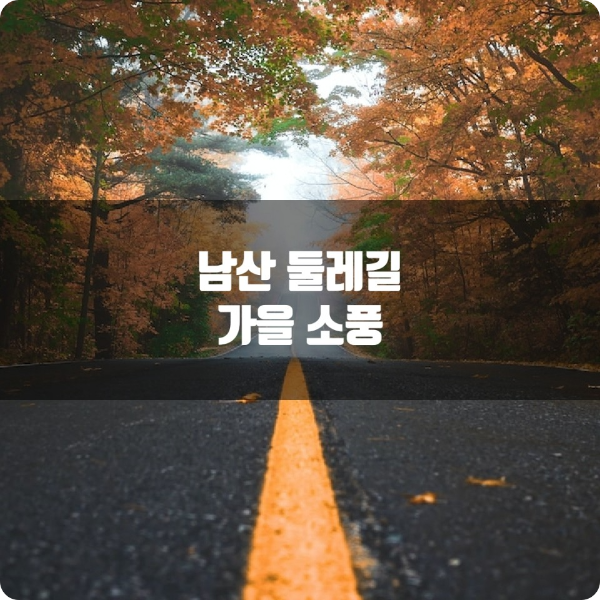 남산 둘레길에 열리는 다채로운 프로그램 소개