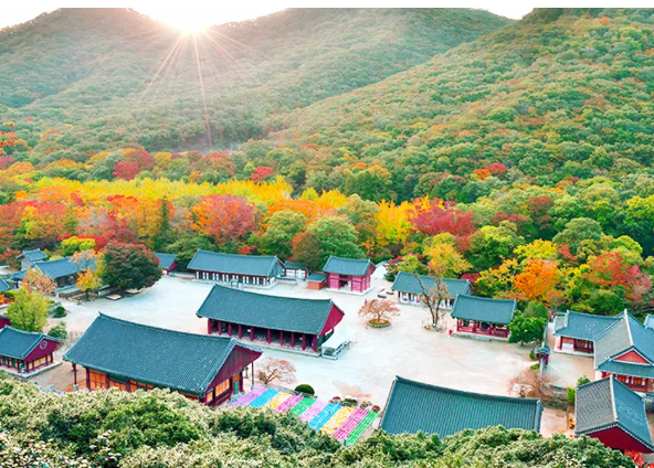 선운사