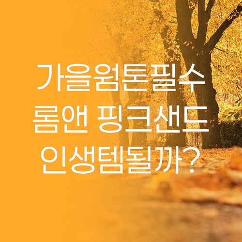 가을 웜톤 주목! 롬앤 제로 매트 립