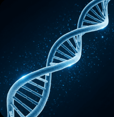 고지혈증 증상과 원인9