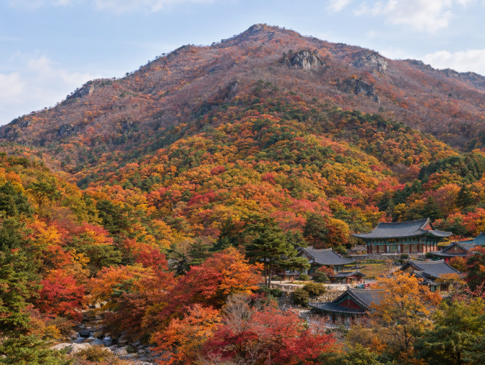정상과 산 아래 단풍 시기 차이