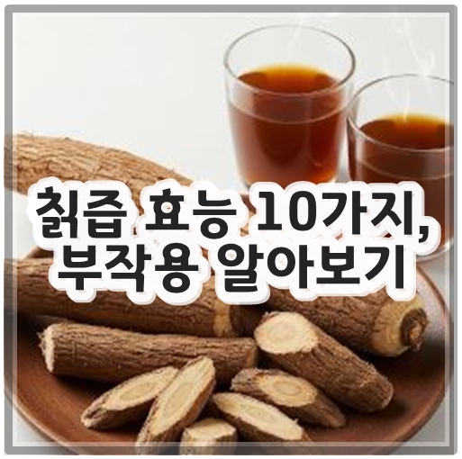 칡즙 효능 10가지, 부작용 알아보기