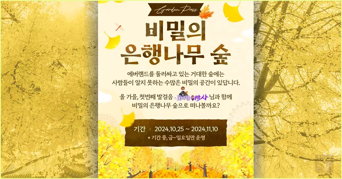 에버랜드 비밀의 은행나무 숲