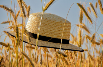 전국민 25만원 민생회복지원금 완벽 정리 16