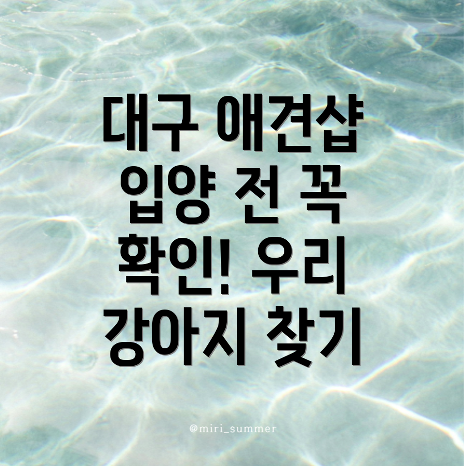 애견분양샵