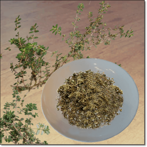 비단풀 먹는 법