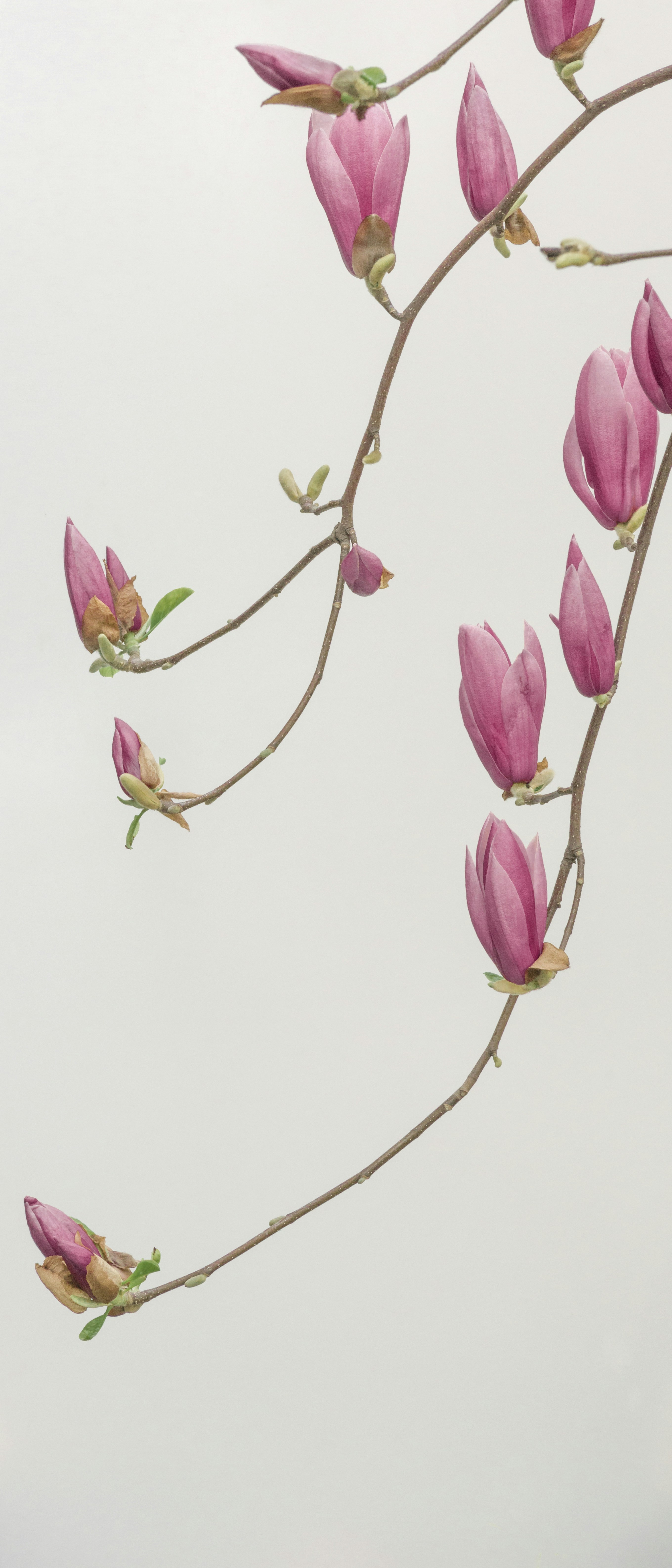 뇌경색 초기증상 8가지 알아보기 -
FAQ
- 모든 영역 뇌경색 초기증상 8가지 알아보기 -
FAQ
- 모든 영역
