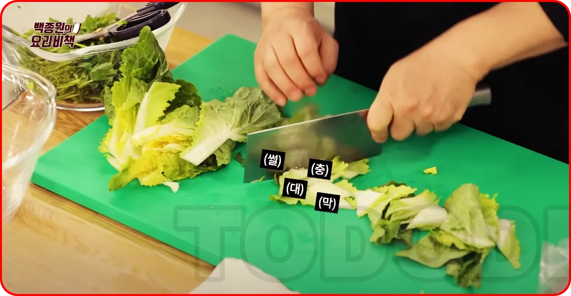 봄동을 대충 자르기