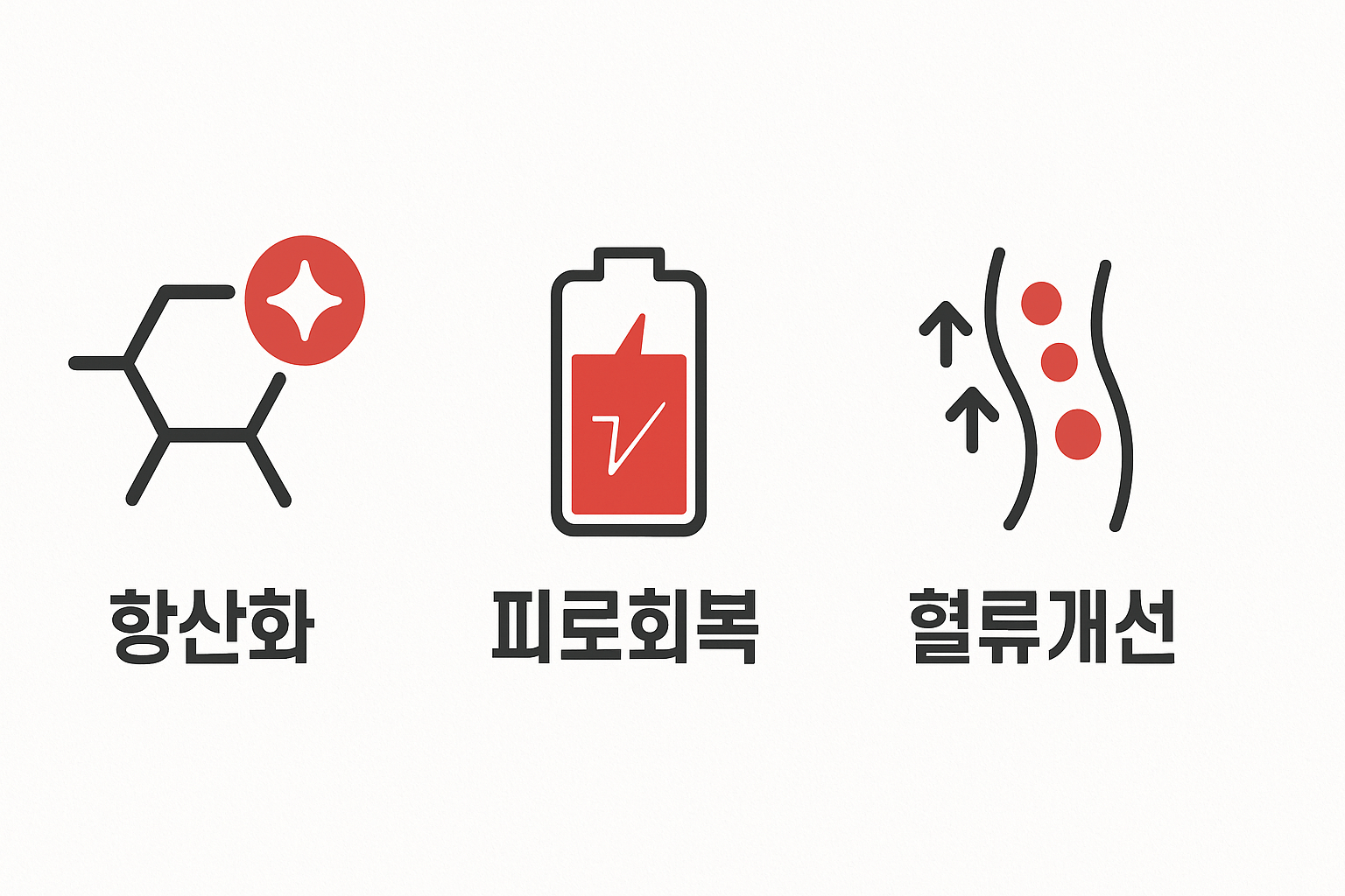 항산화&middot;피로회복&middot;혈류개선 기능을 간단한 아이콘으로 표현한 인포그래픽