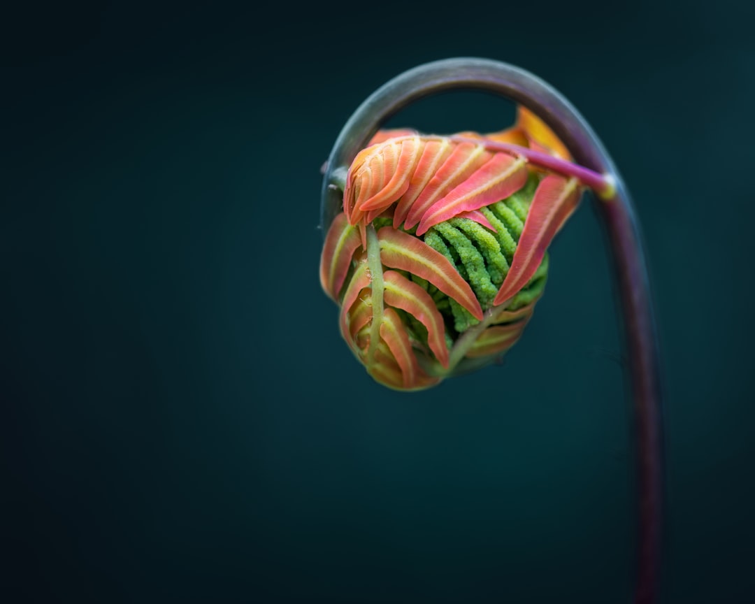 Tinnitus