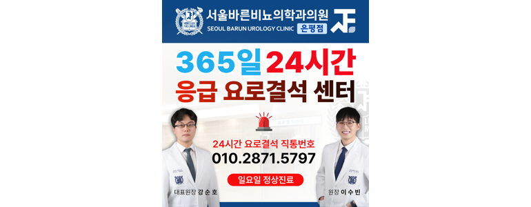 서울 은평구 요로결석 병원