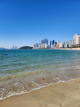 해운대 해변