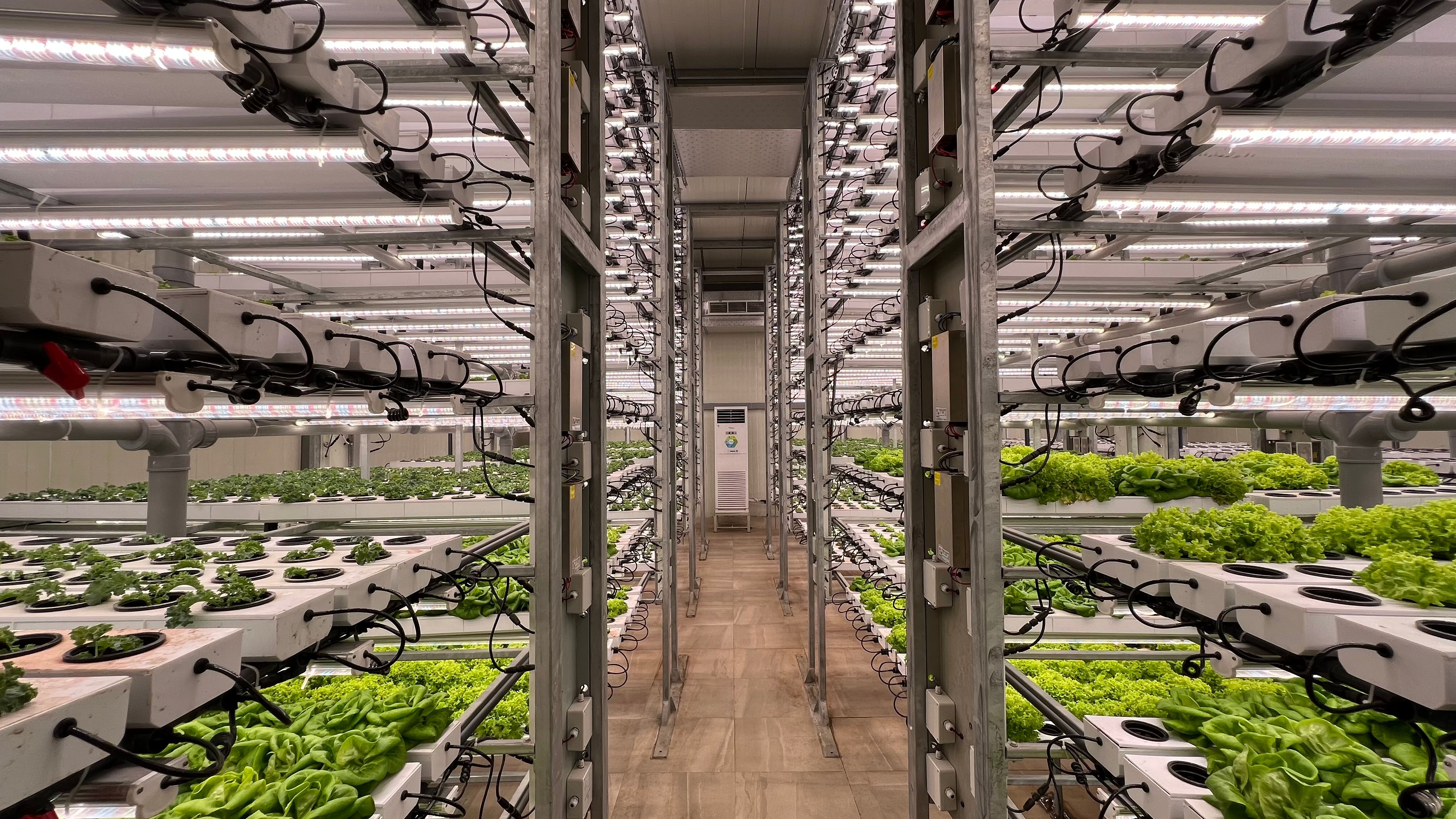 Monitoring Crop Conditions Inside a Smart Farm