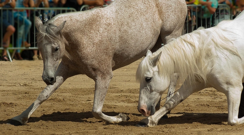 도급&middot;직영, 장단점과 선택 기준