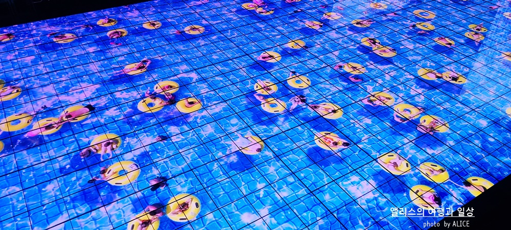 해운대 뮤지엄원 치유의기술, 부산 실내 가볼만한곳, 부산 전시 + 33% 할인예약방법