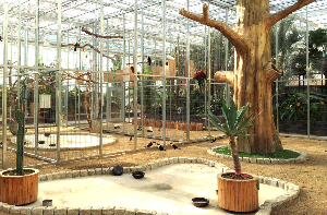 경주 가볼만한 곳 경주 버드파크