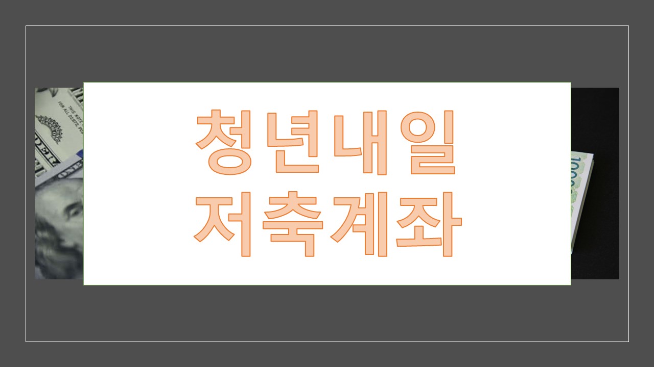 청년내일저축계좌 청년도약계좌 비교분석