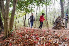 2024 땅끝해남 달마고도 힐링축제 기본일정과 특징 소개