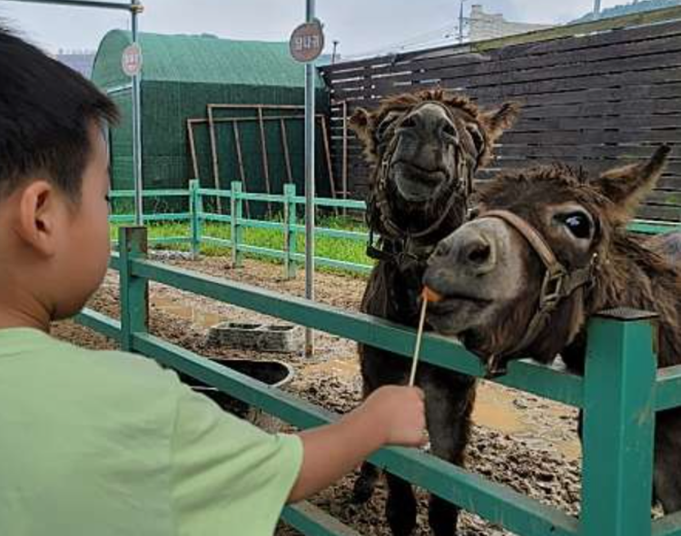 센트럴 곤충 생태농장