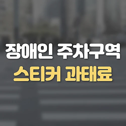 장애인-주차-스티커와-위반-과태료-신고방법