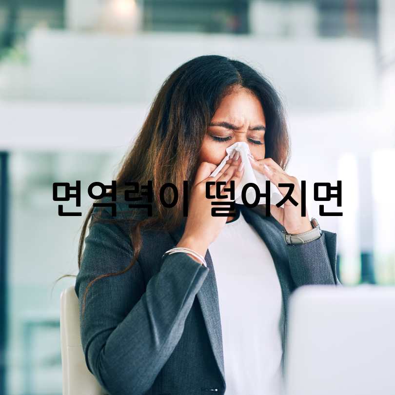 면역력높이는영양제