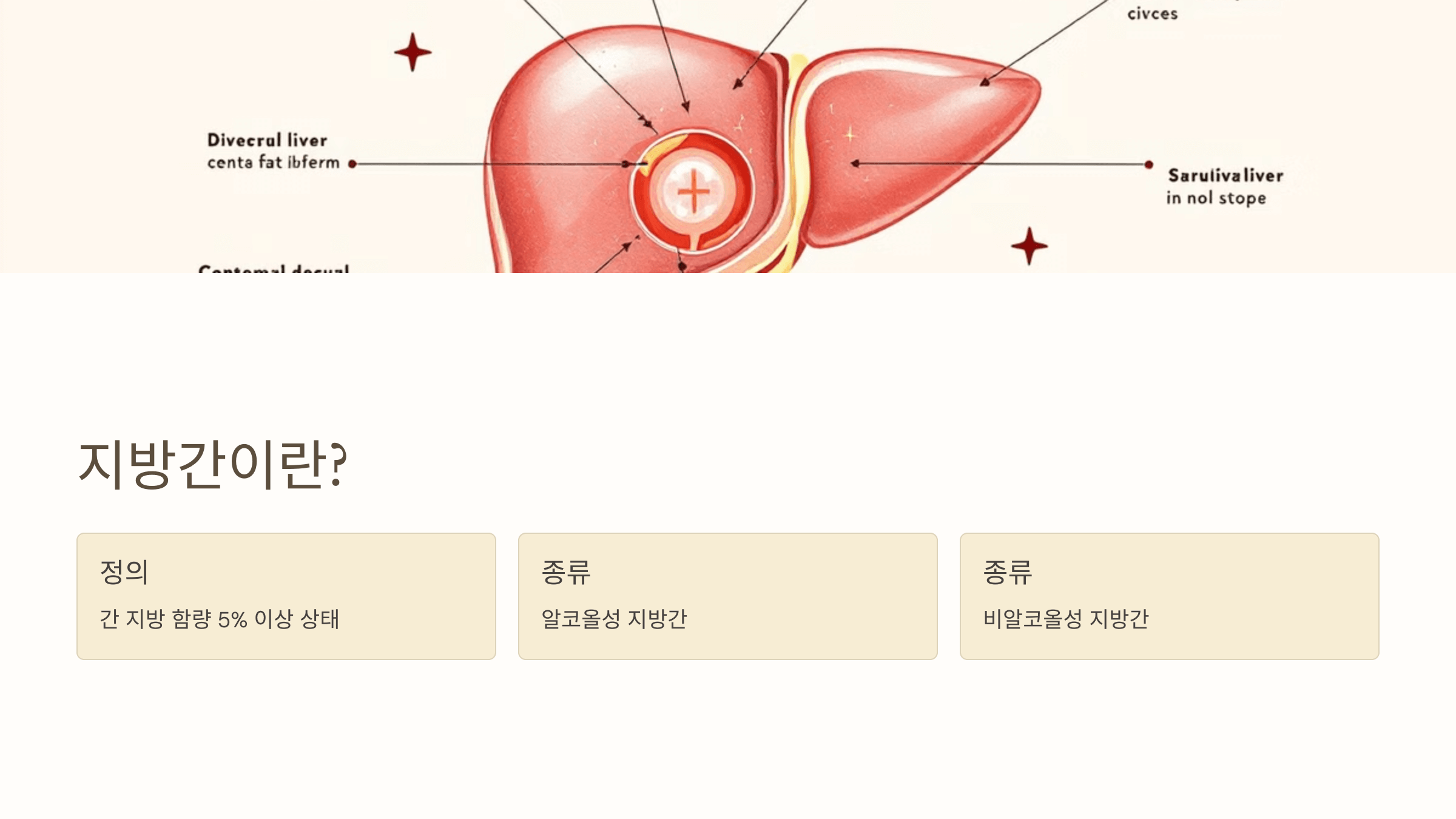 지방간과 관련된 사진입니다.