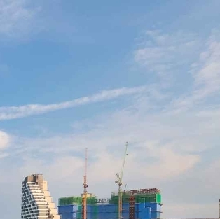 경기도 거북선 봄 달콤 축제