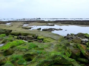 성산포항 여객터미널 우도 배시간표 배편 예약 요금_11