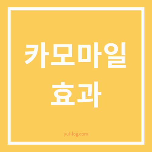 카모마일 에센셜 오일의 피부 진정 효과 알아보기