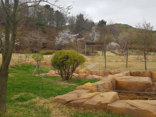 대부도 갈만한곳 바다향기 수목원 볼거리