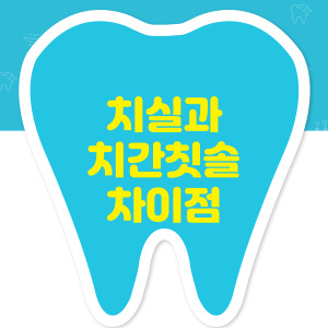 치실과 치간칫솔 차이점