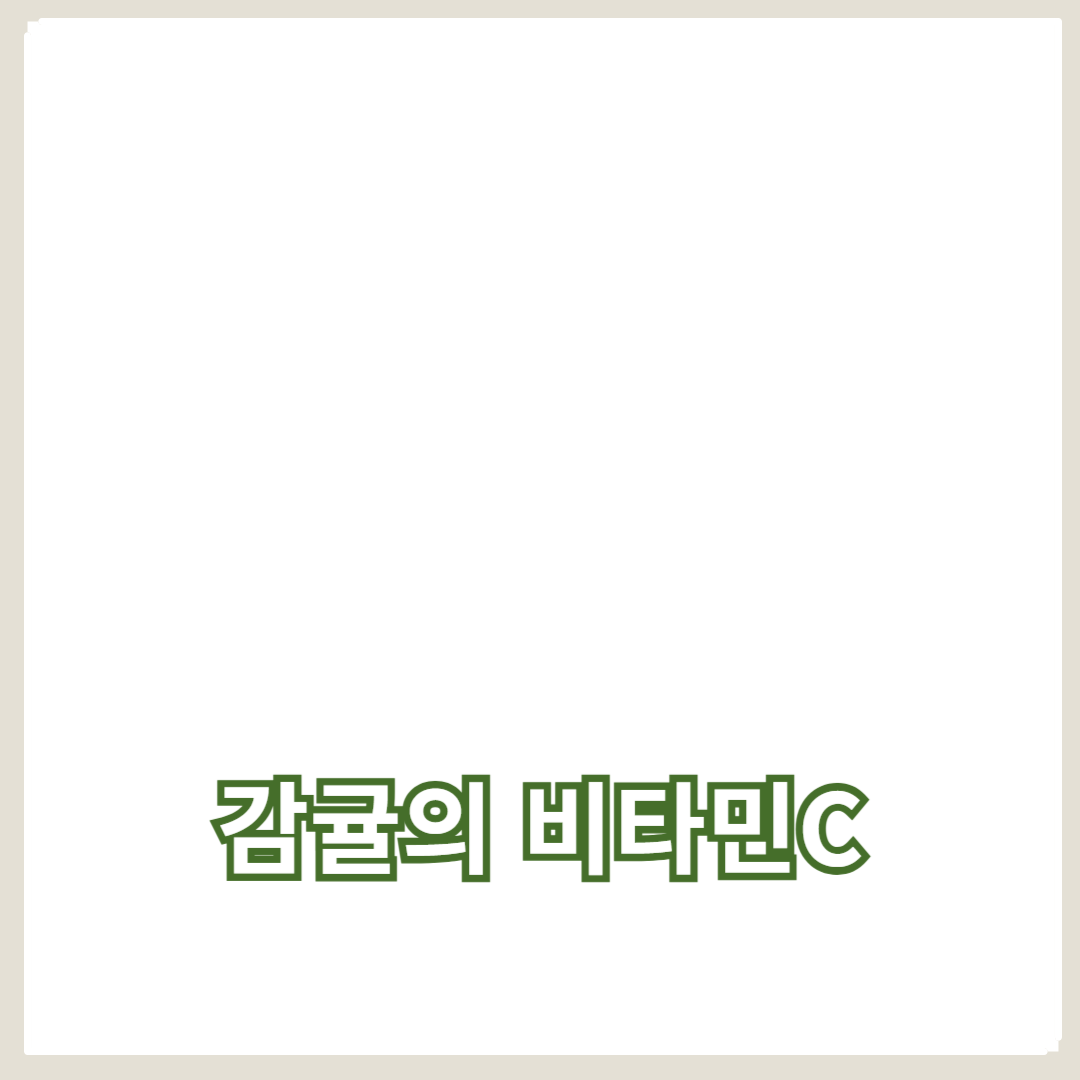 감귤의 비타민C 효능과 면역력 강화 효과