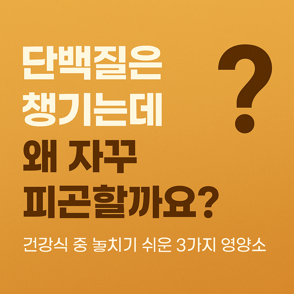 단백질은 챙기는데 왜 자꾸 피곤할까요?건강식 중 놓치기 쉬운 3가지 영양소 썸네일