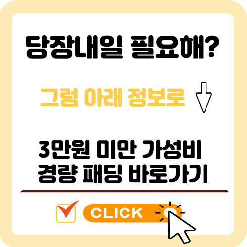 경량-패딩-추천