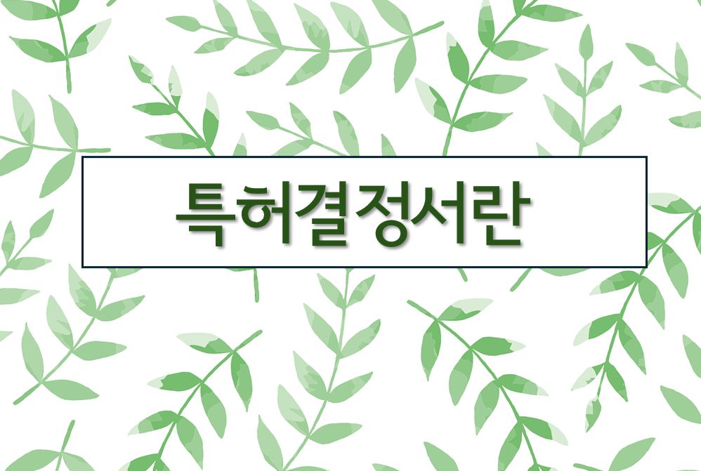 '특허결정서란'이라고 적힌 이미지