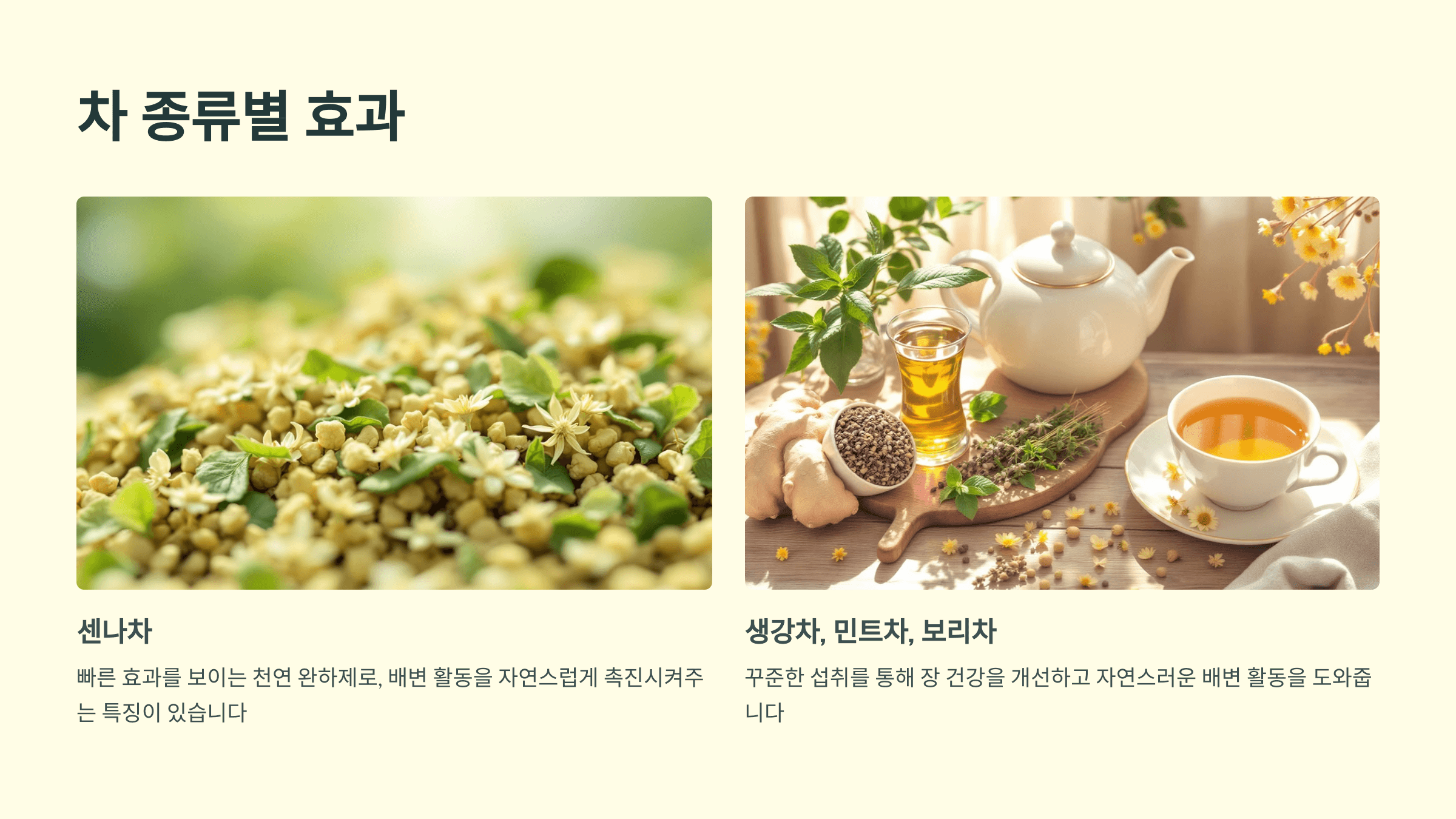변비와 관련된 사진입니다.