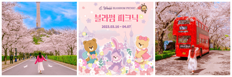 이월드 블라썸 피크닉 포토, 포스터