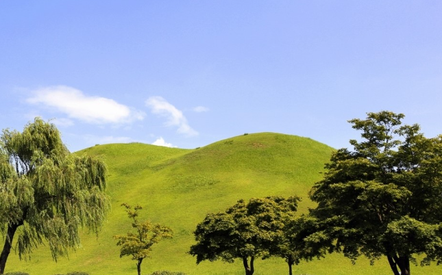경주 아파트 단지별 상세 분석 &mdash; 실제 거주 기준으로 보는 경주 주요 아파트 단지 현실 정리