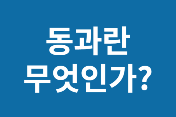 동과 효능 요리법