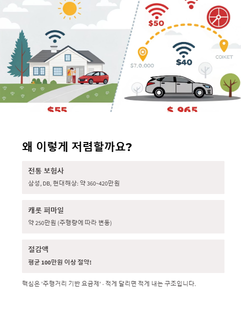 왜 이렇게 저렴할까요?