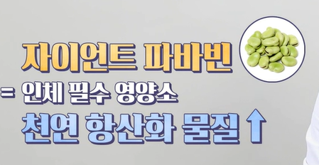 파바빈이란