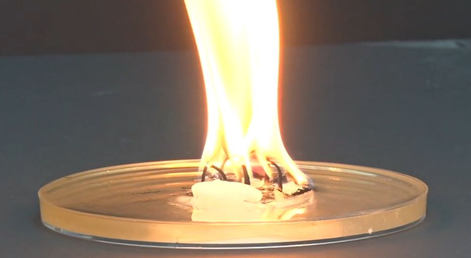 bnr17유산균 효능