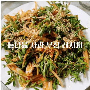 돌나물 돋나물 효능 돋나물먹는 방법 돌나물 무침 돌나물 효능 돌나물 물김치 담그는법 돌나물 요리 돌나물 사과 무침 돌나물 재배 돌나물 김치 담그는 방법 돌나물 효능 효과 돌나물 효소 만들기 돌나물 유자청무침 돌나물 오이무침 돌나물 꽃 돈나물 돈나물무침 돈나물효능 돈나물 요리 돈나물물김치 돈나물 비빔밥 돈나물의효능 돈나물전 돋나물물김치