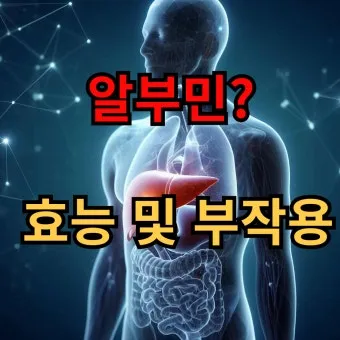 알부민 영양제 효능 알아보기 복용법 부작용_5